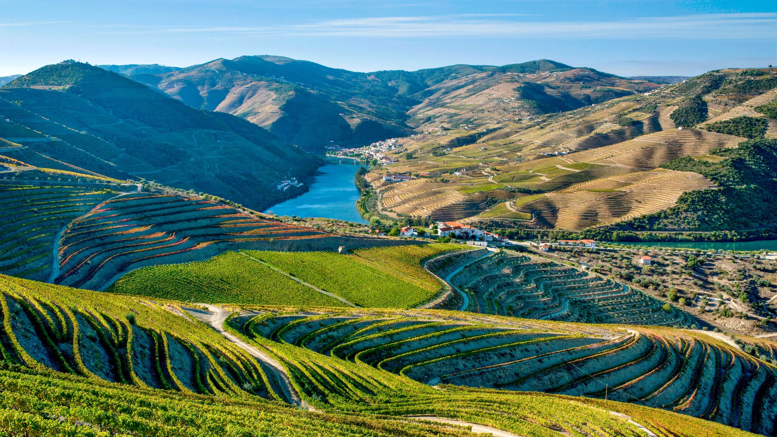 Douro Valley
