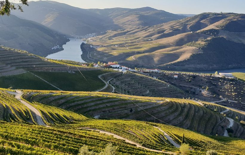 Private Douro Valley Tour ( All Inclusive )